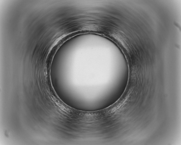 X0000098100923200804181421