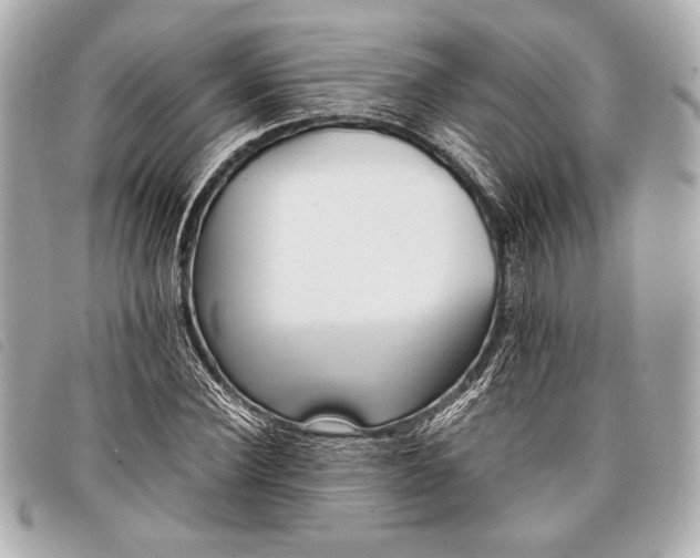X0000098100924200804181421