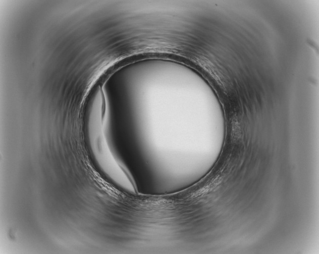 X0000098100926200804181421