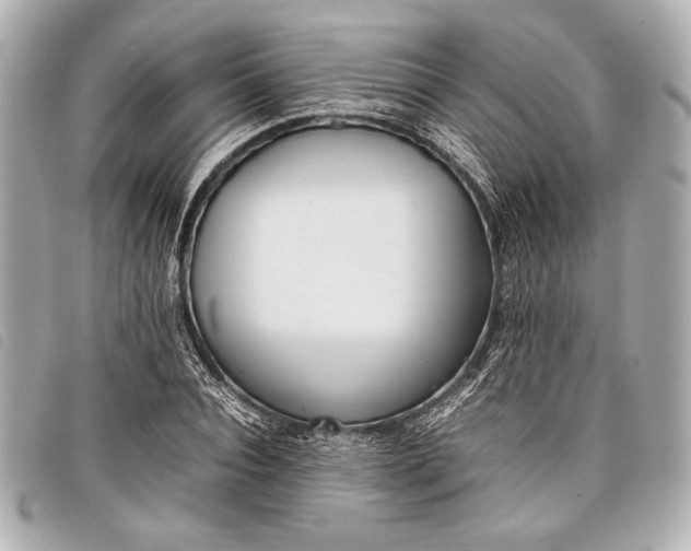 X0000098100928200804181421
