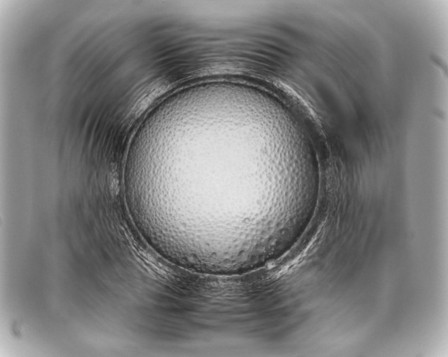 X0000098100929200804181421