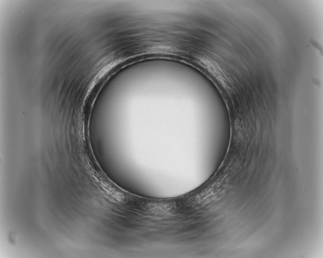 X0000098100931200804181421