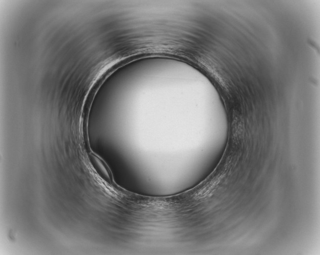 X0000098100932200804181421