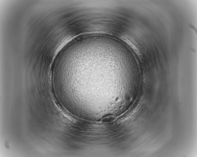 X0000098100933200804181421