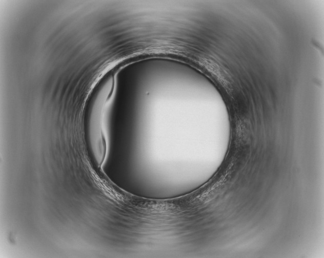 X0000098100934200804181421