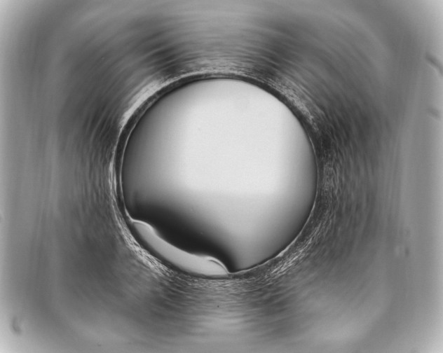 X0000098100936200804181421