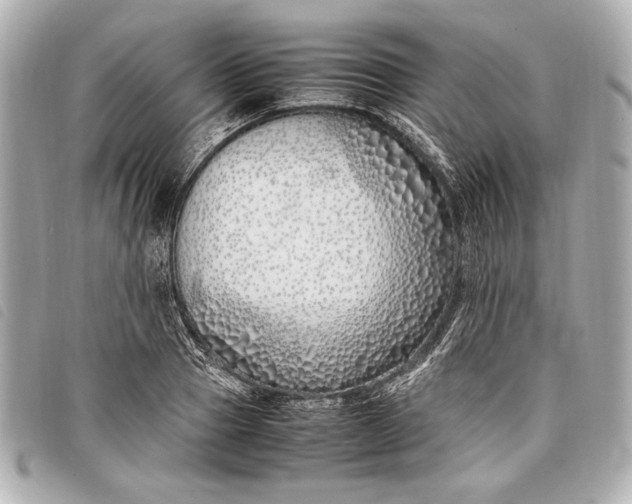 X0000098100937200804181421
