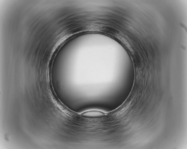 X0000098100939200804181421