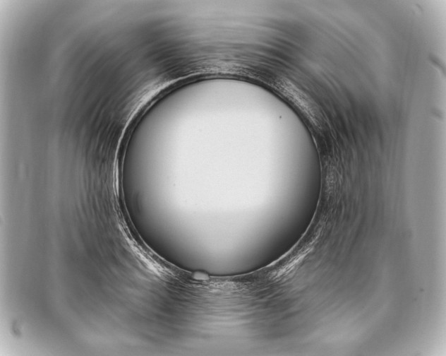 X0000098100940200804181421