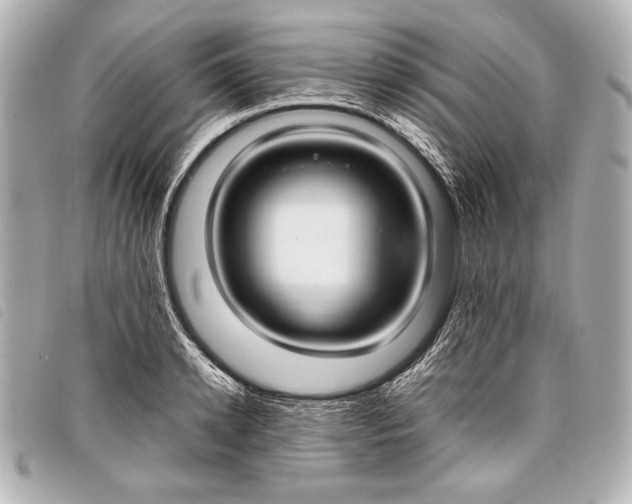 X0000098100942200804181421
