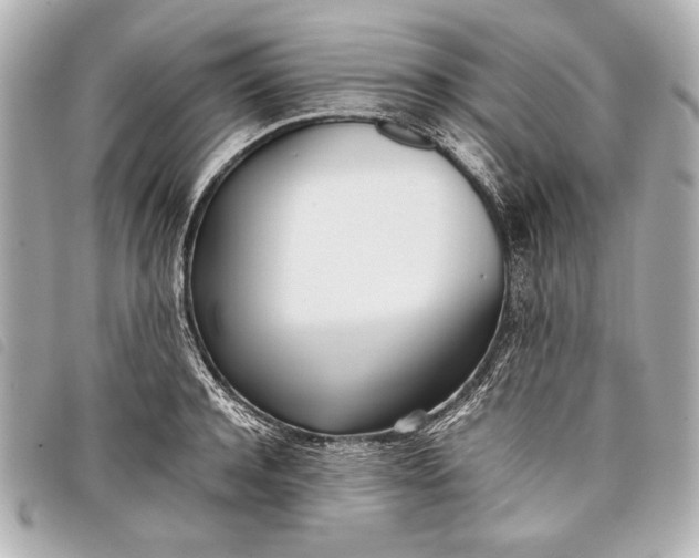X0000098100944200804181421