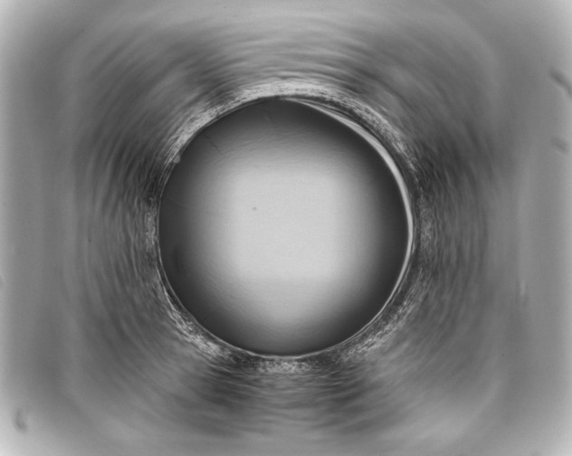 X0000098100945200804181421