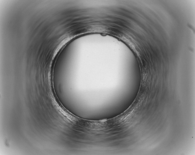 X0000098100947200804181421