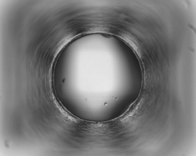 X0000098100949200804181421