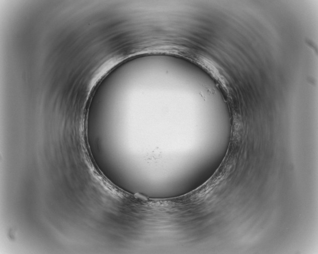 X0000098100952200804181421