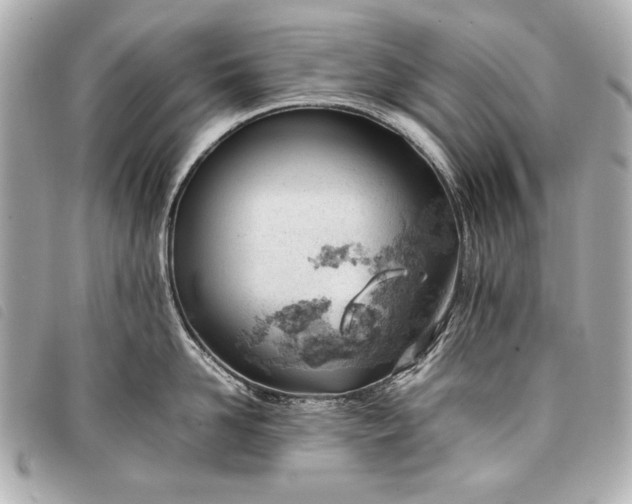 X0000098100958200804181421