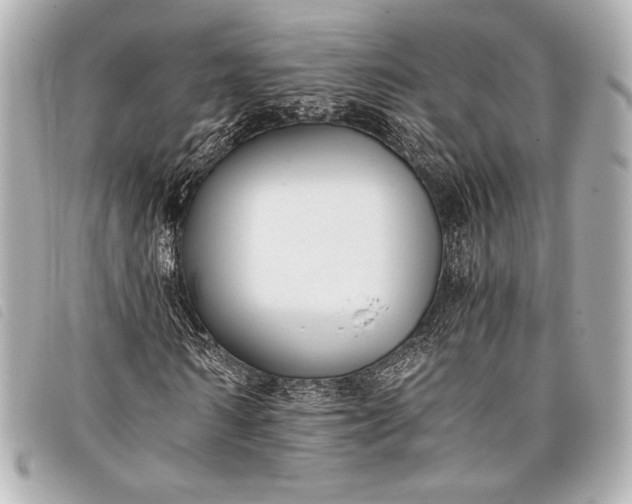 X0000098100962200804181420