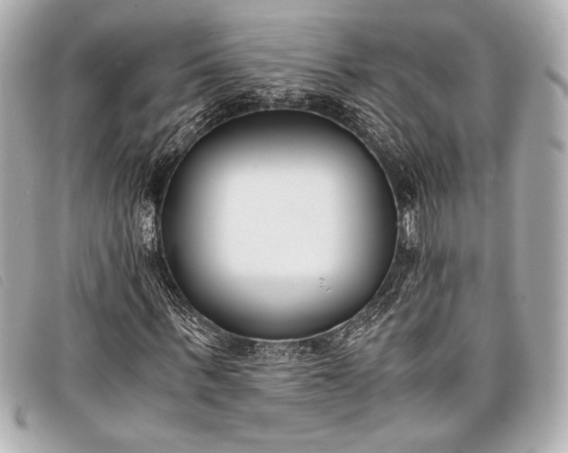 X0000098100963200804181420