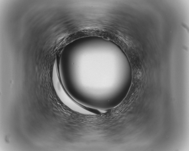 X0000098100965200804181420