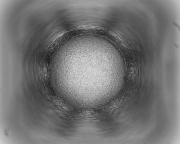 X0000098100966200804181420