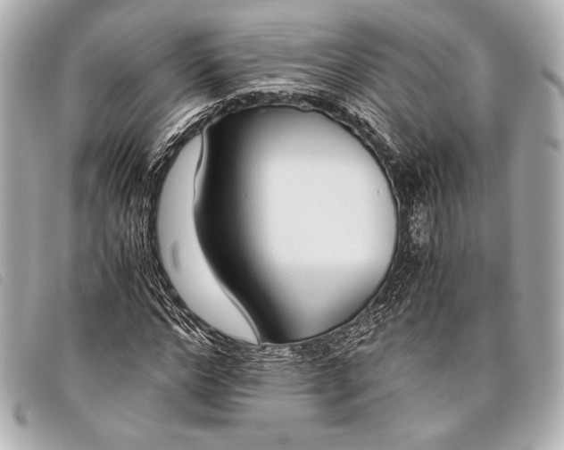 X0000098100968200804181420