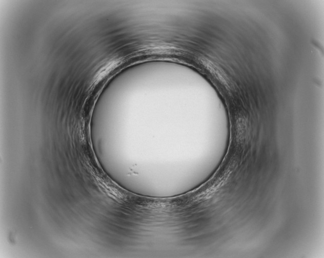X0000098100970200804181420