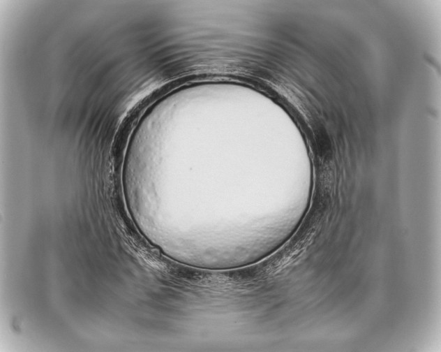 X0000098100971200804181420