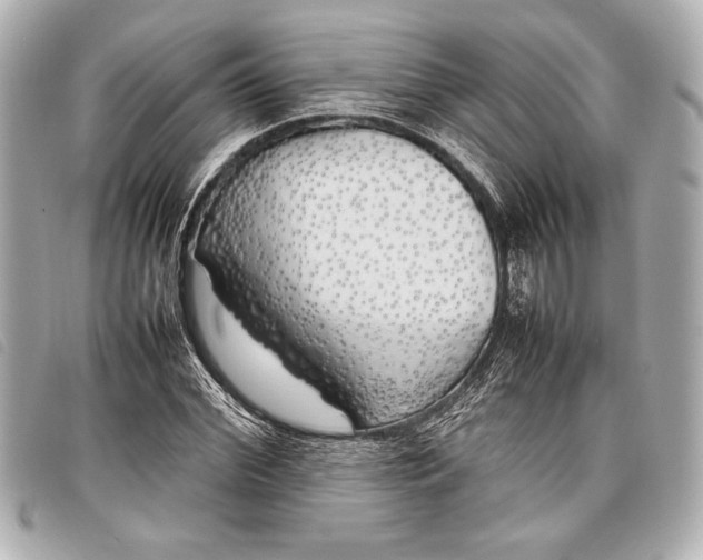 X0000098100972200804181420