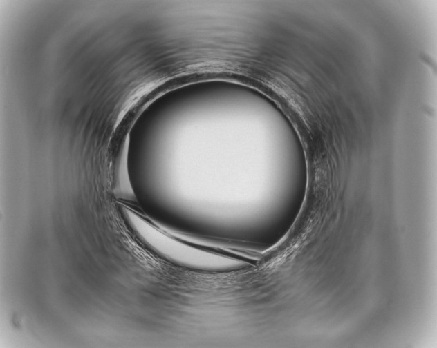 X0000098100973200804181420