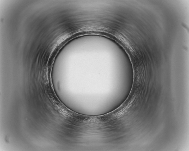 X0000098100974200804181420