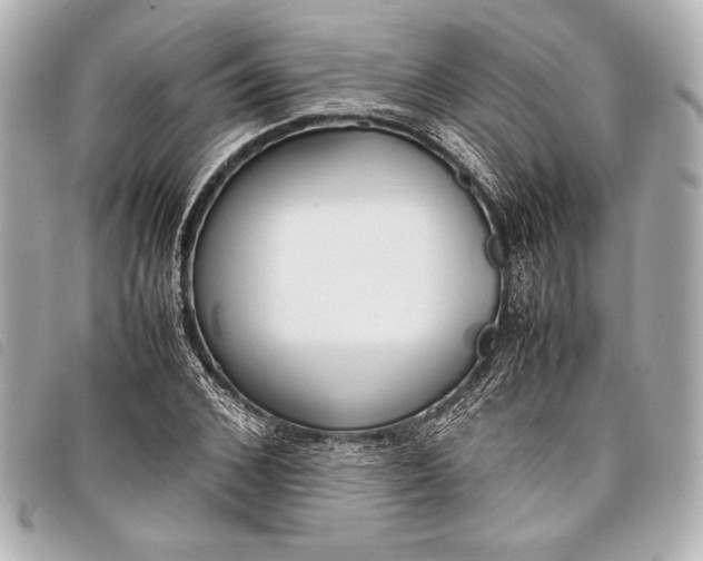X0000098100976200804181420