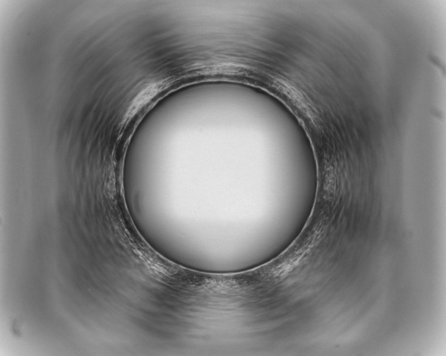 X0000098100978200804181420