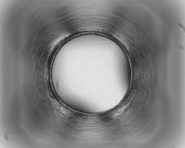 X0000098100979200804181420