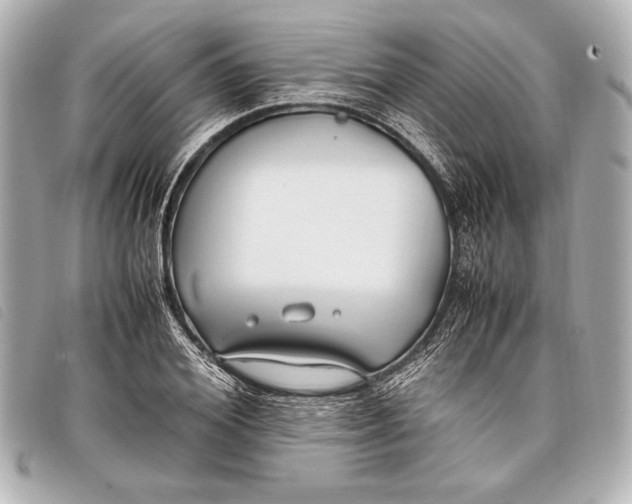 X0000098100980200804181420