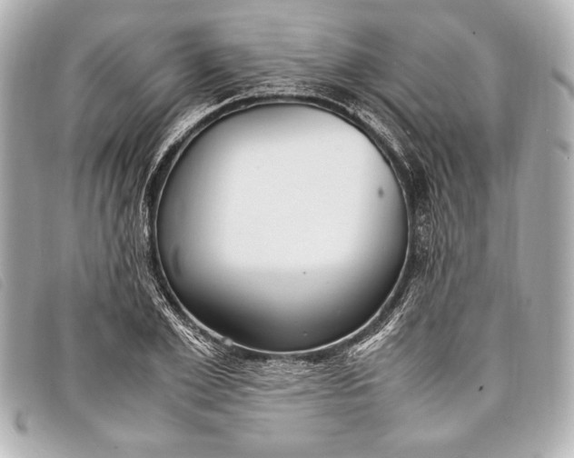 X0000098100981200804181420