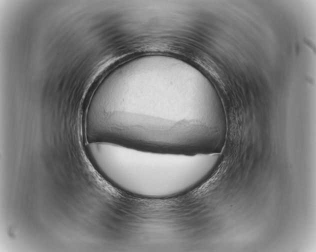 X0000098100984200804181420