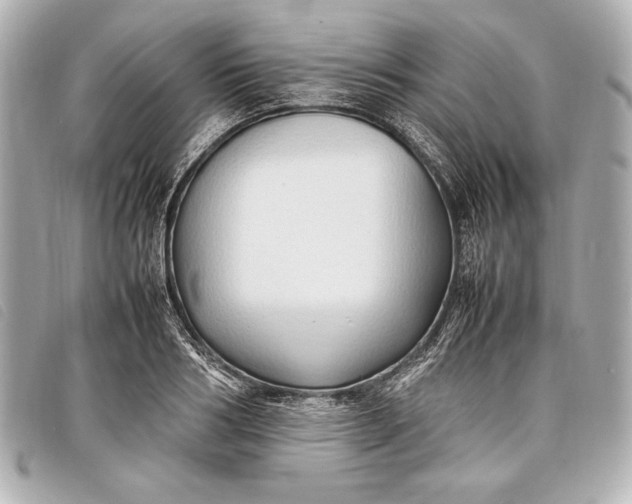 X0000098100986200804181420