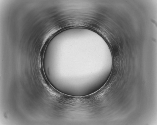 X0000098100987200804181420