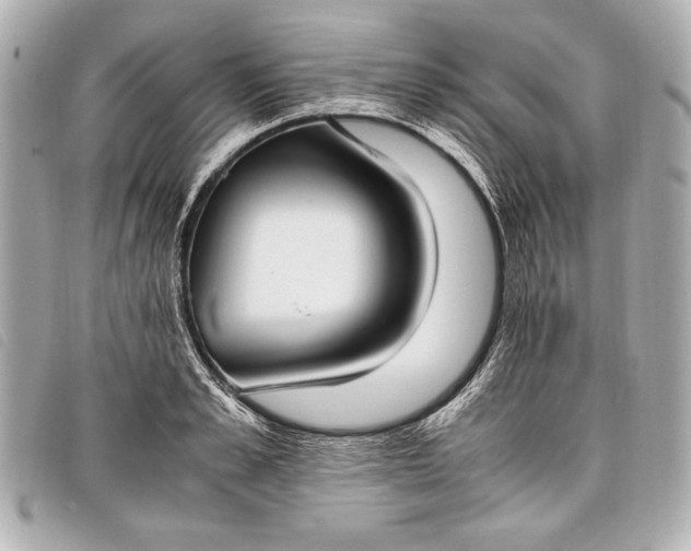 X0000098100989200804181420