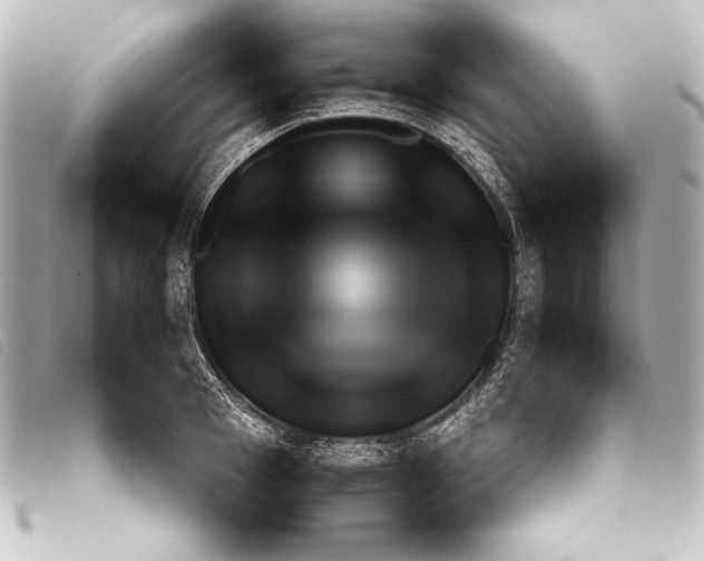 X0000098100993200804181420