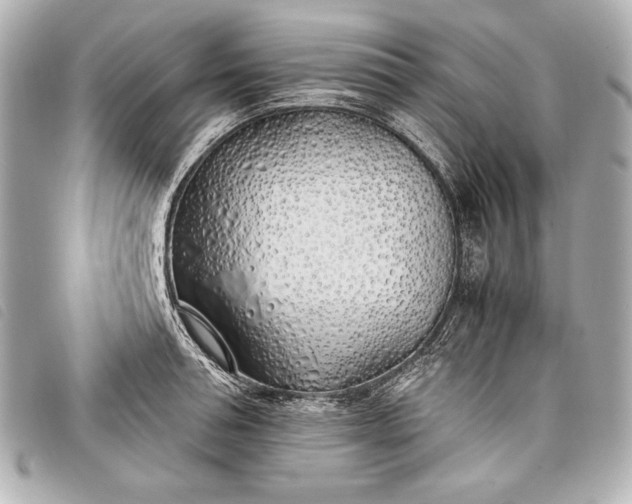 X0000098100994200804181420
