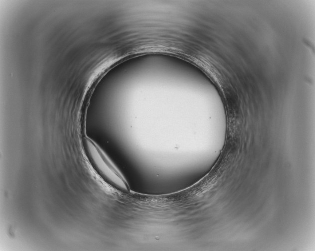 X0000098100995200804181420