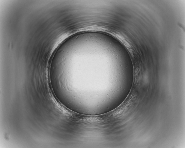 X0000098100998200804181420