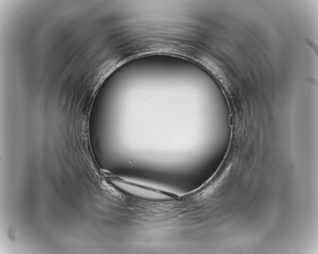X0000098101001200804181420
