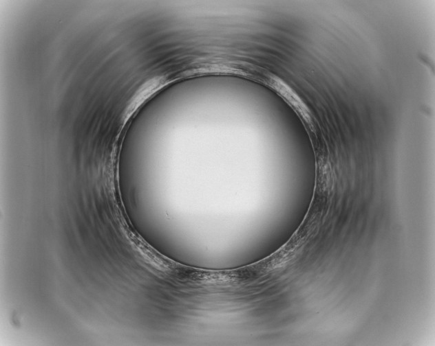 X0000098101002200804181419