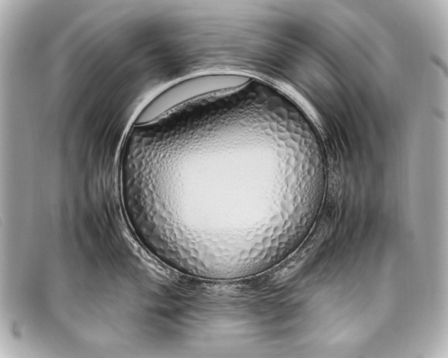 X0000098101004200804181419