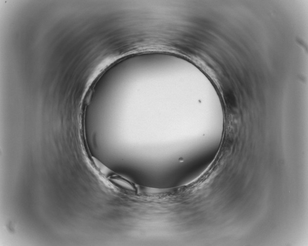 X0000098101005200804181419