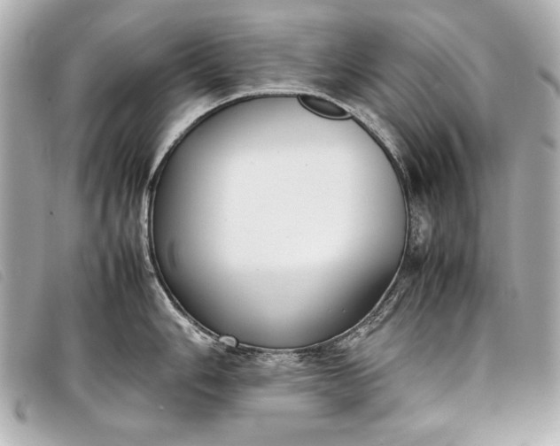 X0000098101006200804181419