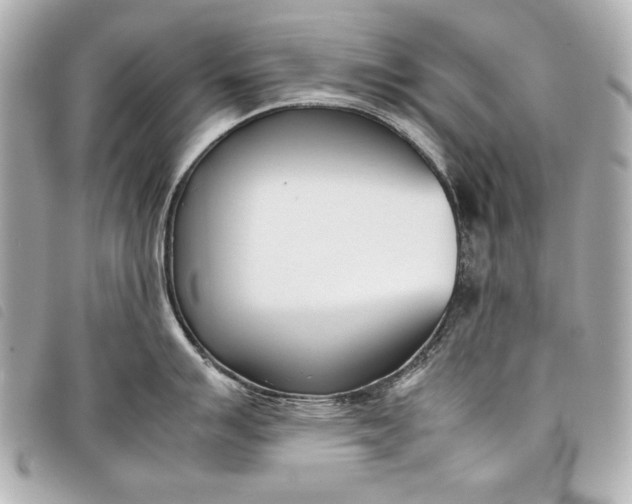 X0000098101007200804181419