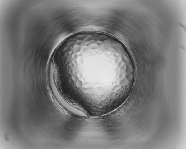 X0000098101008200804181419